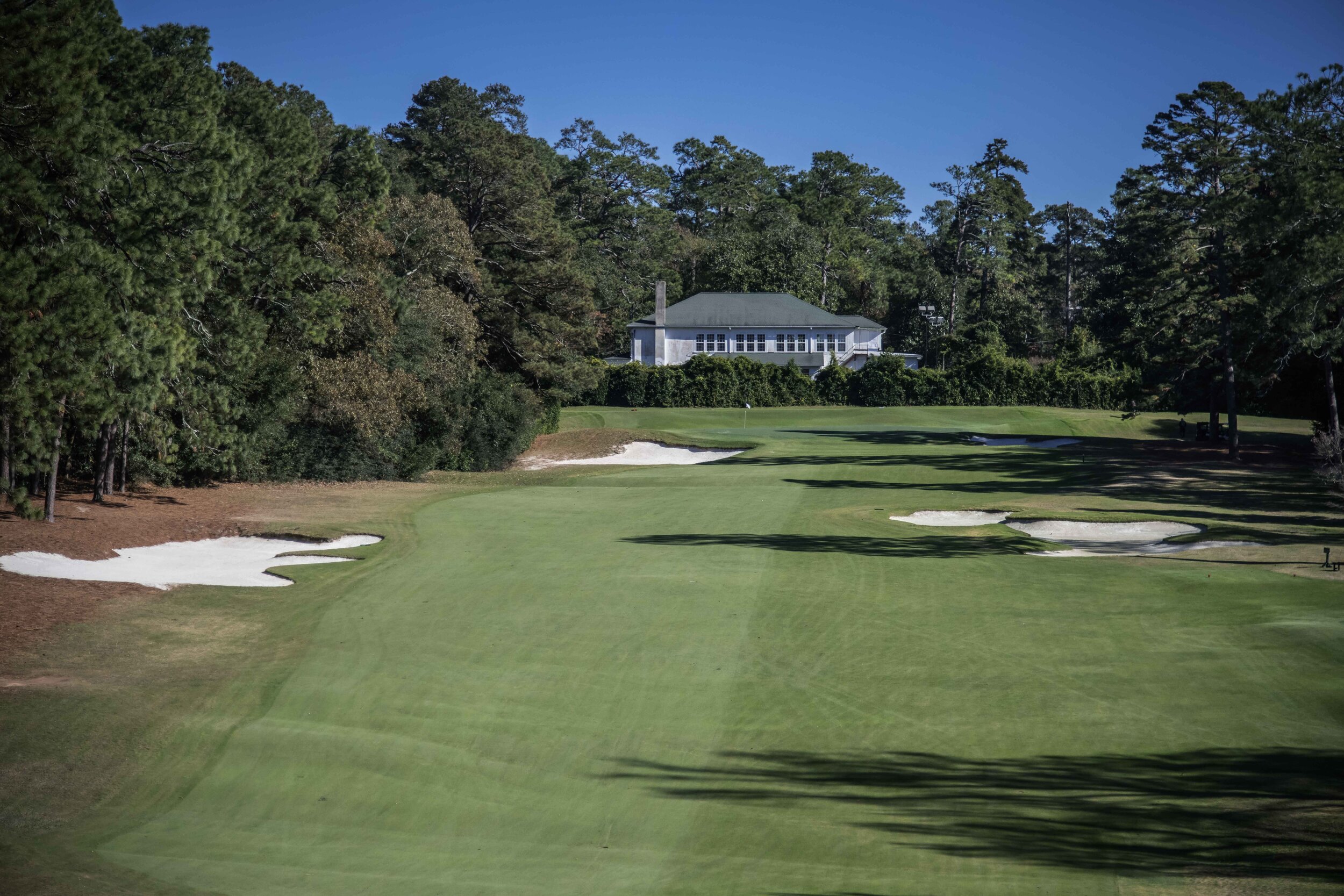 Palmetto Golf Club