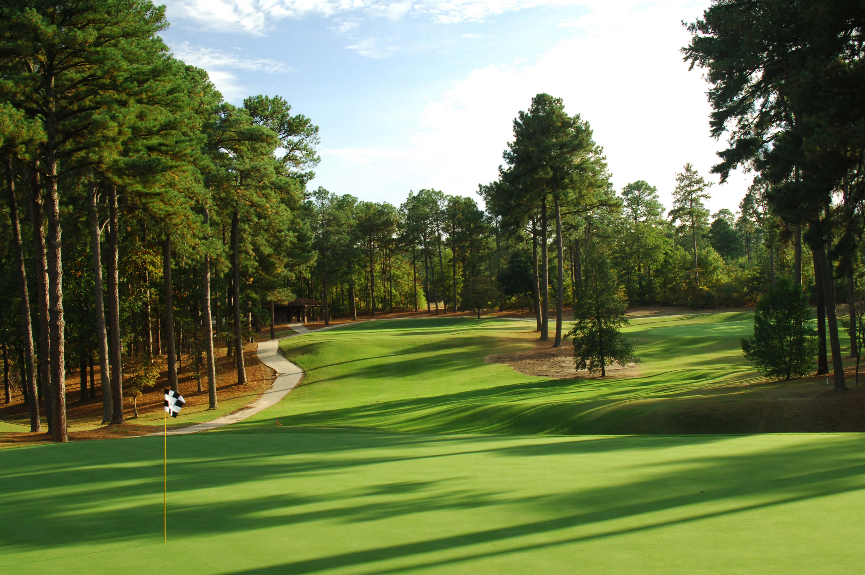 Pinehurst #1