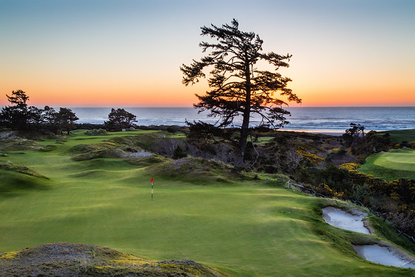 Bandon Preserve